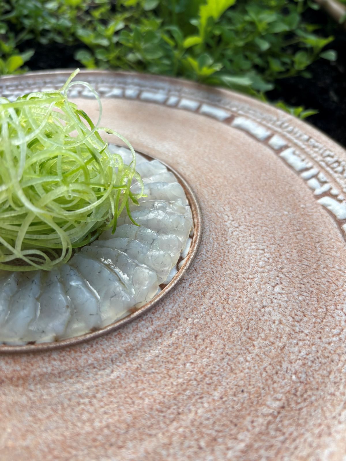 אריזה טרייה